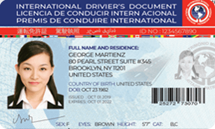 international driving permit